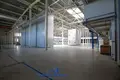 Produktion 4 351 m² Minsk, Belarus
