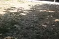 Dom 3 pokoi 100 m² Plewen, Bułgaria