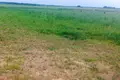 Dom 60 m² Uzdzienski sielski Saviet, Białoruś