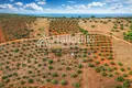 Parcelas 5 035 m² Nikiti, Grecia