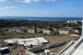Parcelas  Tala, Chipre
