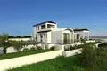 Atterrir  Anarita, Chypre