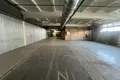 Warehouse 706 m² in Leninsky District, Russia