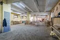 Manufacture 286 m² in Minsk, Belarus