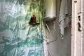 House 41 m² Bialarucki sielski Saviet, Belarus