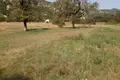 Земельные участки  Grahovo, Черногория