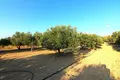 Земельные участки 1 комната 1 800 м² Municipality of Chersonissos, Греция