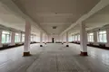 Propriété commerciale 3 410 m² à Lapicy, Bélarus