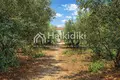 Parcelas 22 000 m² Sozopoli, Grecia