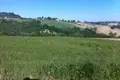 Działki 40 000 m² Monte Vidon Corrado, Włochy