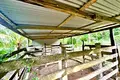 Casa 4 habitaciones 17 000 m² San Juan del Sur, Nicaragua