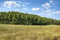 Atterrir 18 000 m² Kassandrino, Grèce
