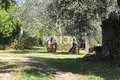 Villa 18 chambres 730 m² Sacrofano, Italie