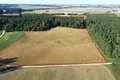 Grundstück  Naujienele, Litauen