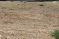 Земельные участки  муниципалитет Пафос, Кипр