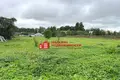 Grundstück  Hliadavicy, Belarus