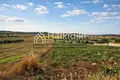 Atterrir 5 698 m² Nea Fokea, Grèce