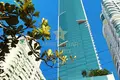 Mieszkanie 4 pokoi 196 m² Regiao Geografica Imediata de Itajai, Brazylia