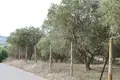 Земельные участки 1 комната 6 869 м² Агия Параскеви, Греция