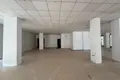 Boutique 900 m² à Kestel, Turquie
