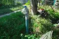 Haus 44 m² Telminski sielski Saviet, Belarus