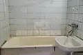 Wohnung 3 zimmer 70 m² Druschny, Belarus