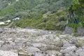 Land in Regional Unit of Islands, Greece