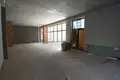 Коммерческое помещение 350 м² в Тбилиси, Грузия