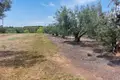 Grundstück 2 800 m² Nea Flogita, Griechenland
