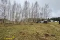 Дом 70 м² Курганский сельский Совет, Беларусь
