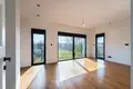 4 bedroom Villa 262 m² Podgorica, Montenegro