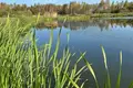 Działki  municipalnyj okrug Istra, Rosja