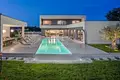 villa de 5 dormitorios 308 m² Roviño, Croacia