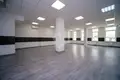 Commercial property 125 m² in Minsk, Belarus