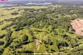 Land  Rutonys, Lithuania