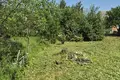 Land  Rakauski sielski Saviet, Belarus