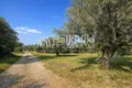Parcelas 9 205 m² Neos Marmaras, Grecia