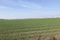 Commercial property  in Lymanka, Ukraine