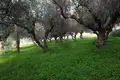 Земельные участки  Каливе, Греция