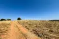 Land 14 000 m² Dionysiou, Greece