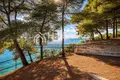 Parcelas 15 000 m² Nikiti, Grecia