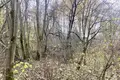 Działki  Troick, Rosja