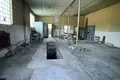 Manufacture 7 rooms 297 m² in Ozyaritska-Slabadski rural council, Belarus