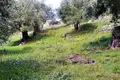 Земельные участки 1 комната  Синарадес, Греция