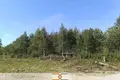 Haus 54 m² Navapolski sielski Saviet, Belarus