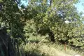 1 bedroom house  Thassos Municipality, Greece