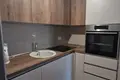 Apartamento 1 habitación 45 m², Montenegro