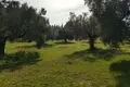 Land 1 room  Kriopigi, Greece