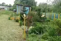 Haus 44 m² Ilya, Belarus