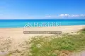 Atterrir 4 000 m² Sozopoli, Grèce